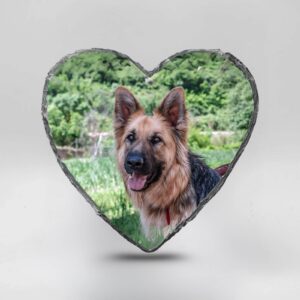 Gedenktegel hartje hond