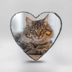 Gedenktegel hartje kat