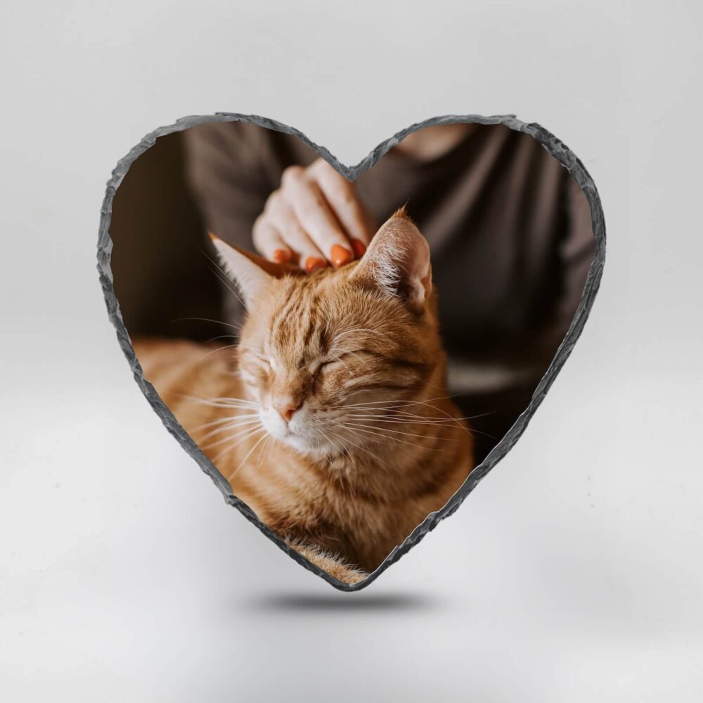 Gedenktegel hartje kat aaien