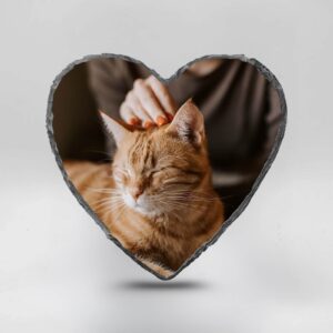 Gedenktegel hartje kat aaien