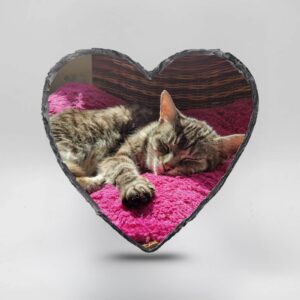 Gedenktegel hartje kat liggend