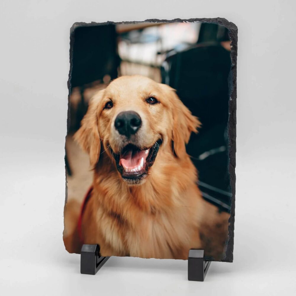 Gedenktegel rechthoek staand hond