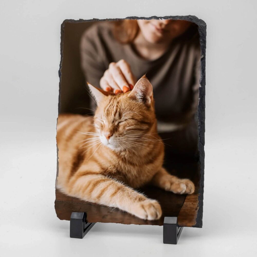 Gedenktegel rechthoek staand vrouw met poes
