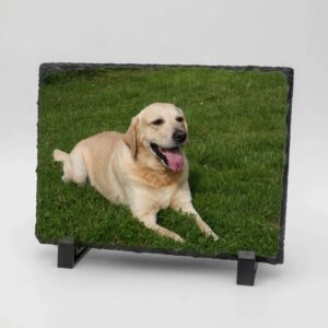 Gedenktegel rechthoek liggend hond
